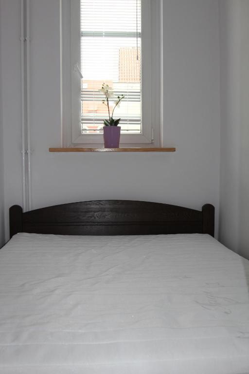 Apartamenty Copernicus - Zameldowanie 24 H Stary Toruń Camera foto